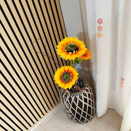 Comfy Apartment In サロウ エクステリア 写真