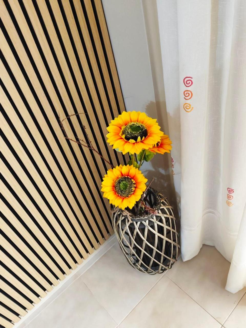Comfy Apartment In サロウ エクステリア 写真